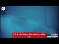 اغنية شخصية عنيدة على مشاهد من مسلسل نبضات القلب💕💗☺