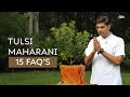 15 FAQ's about Tulsi Maharani | Govind Krsna Das | GKD