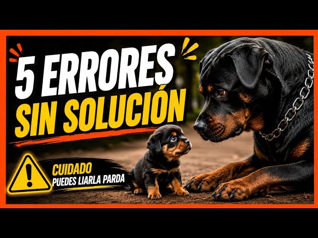 5 ERRORES QUE ARRUINAN LA EDUCACIÓN DE TU PERRO (y que no tienen solución 😱)