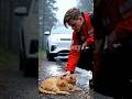 Kind Man Rescues Cat & Her Babies – Emotional Animal Rescue Story #CatRescue #StrayCat #shorts