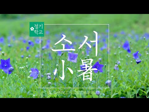 [24절기 소서] 한국의 24절기 소서(小暑)