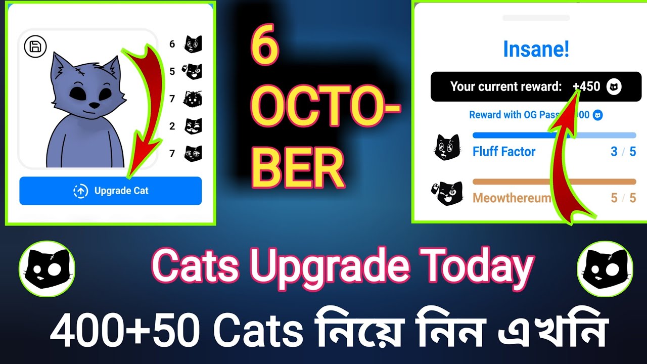 6 October upgrade cats | cat photo upload | cat avatar today - YouTube
