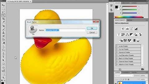 Photoshop Tutorial Creating Custom Brush Tips by Selection Adobe Training Lesson 6.2