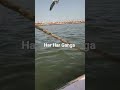 Karam Jise pukare o phuche ganga kinare#Har har gange Viral short
