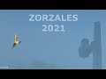 Zorzales en Coria 2021 con Rafael Ruiz y Cartuchos Rapaz y armeria Pintiado