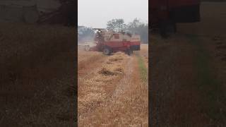 laika ta hai ababu ham kisan ke
