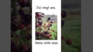 Algumas frases fáceis em francês