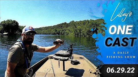Lilley's One Cast, June 29