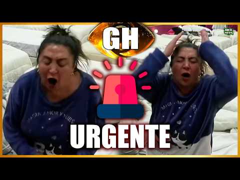 URGENTE🚨PINCOYA explotó a LOS GRITOS vs GH🚨YIPIO vs CINZIA🚨EMANUEL y MAJLUF vs PINCO🚨GRAN HERMANO