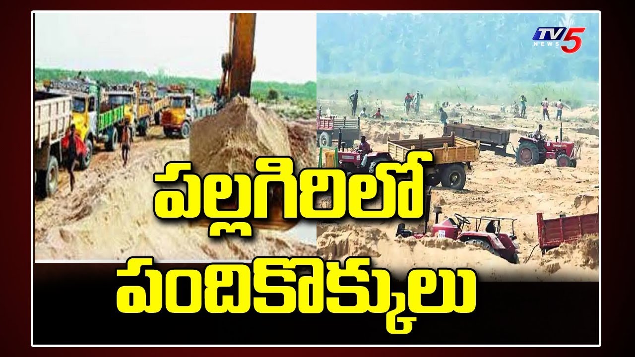 Illegal Sand Mafia In Krishna District with Political Leaders Support | TV5