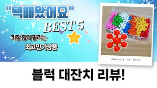 블럭 대잔치! 바니랜드/크리에듀/눈송이/다이노소어 블럭 리뷰