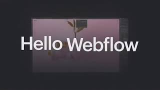 Webflow