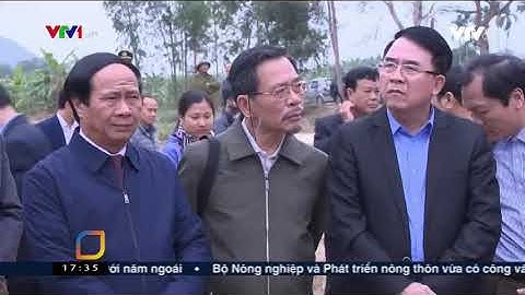VNHN: Phát hiện bãi cọc Cao Quỳ tại Thủy Nguyên - Hải Phòng (?/12/2019)