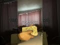 Пишите имена в комментарии добавлю в новое видео таро гороскоп гадание таролог магия 