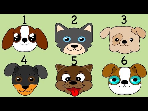 Numbers Song 2 | How Many Dogs? Count From 1 to 12 Kids Sing and Learn English Numbers