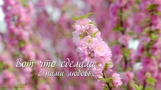 История любви История любви