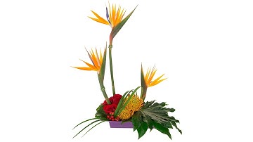 Formal Linear Floral Design