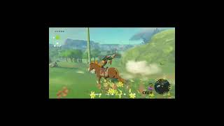 Link Dies 2 #shorts #botw #zelda #zeldabotw