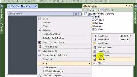 Visual Studio 2010 video tutorial form property setting and Add New form