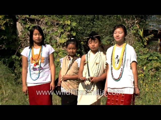 Traditional Tribal Dress Apatani Tribe Ziro Stock Photo 622480652 |  Shutterstock