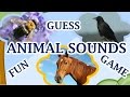 Animal Sounds, Guess The Animal By The Sound, A Fun Game For Kids