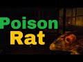 Roblox The Mimic How to Poison The Rats
