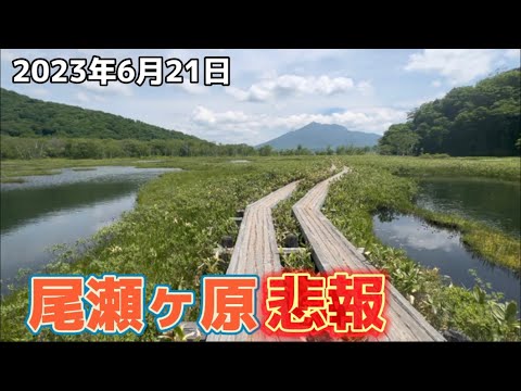 村尾　2020年６月２９日 March 5, 2025 - YouTube