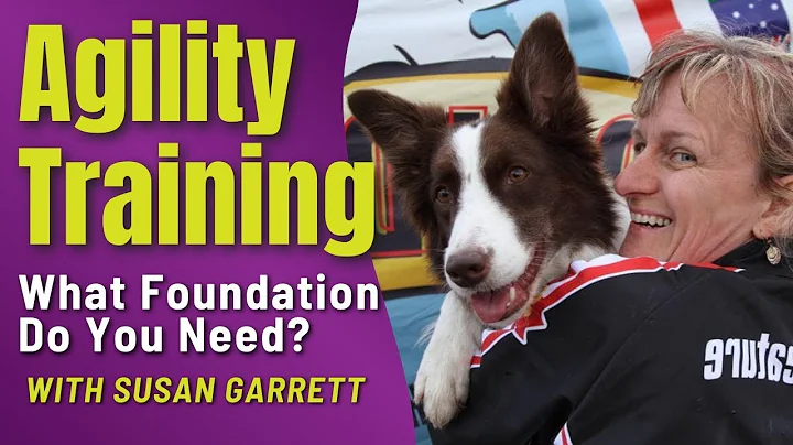 Agility Training: What Foundation Do You and Your ...