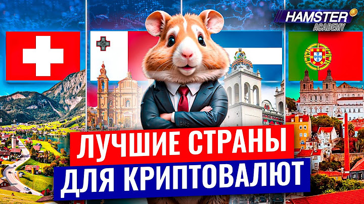 Гайд по лучшим странам для криптовалют 🟡 Hamster Academy