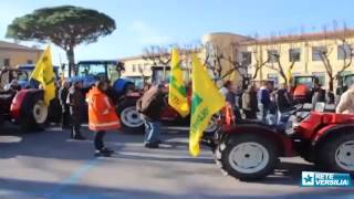 Agricoltura: sfilata di trattori in strada per la festa degli agricoltori, è la festa di Coldiretti