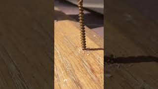 Easily Remove Wood or PVC Plugs @finehomebuildingmagazine