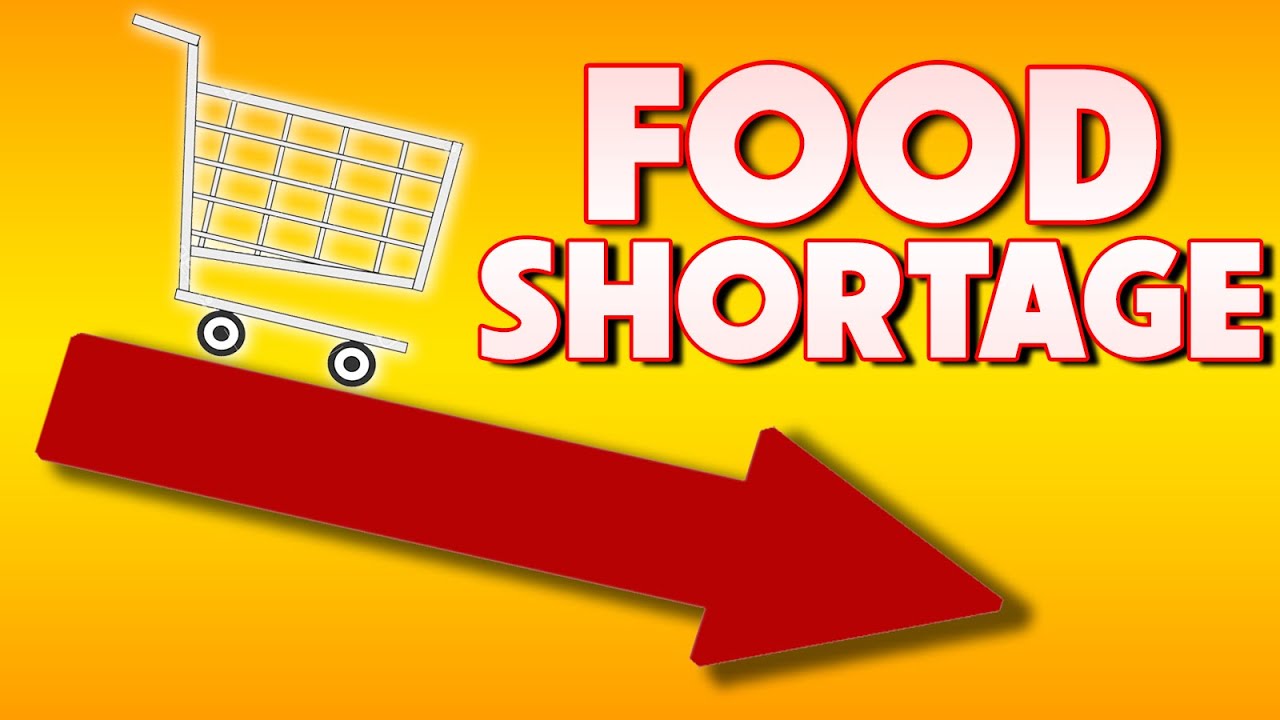 Food Shortages 09/02/2022 YouTube