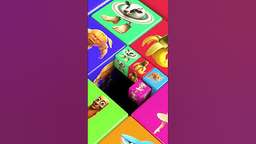 Brainrot Bounce Loop #roblox