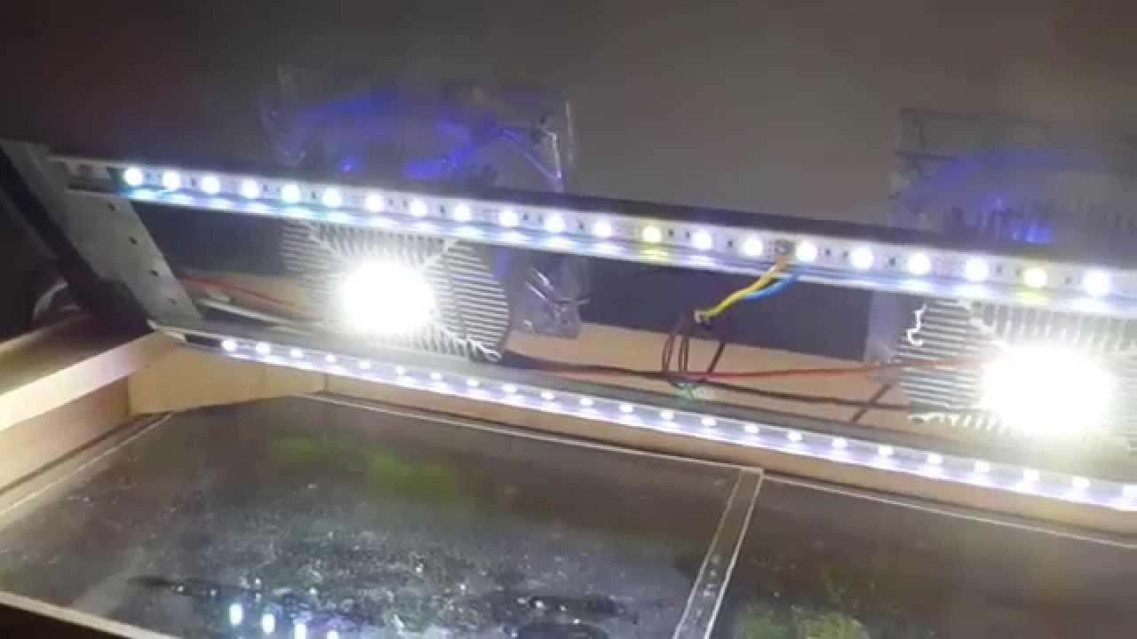 viel Schrijft een rapport Rommelig DIY aquarium LED lighting led chip 20W + RGB LED Strip - YouTube