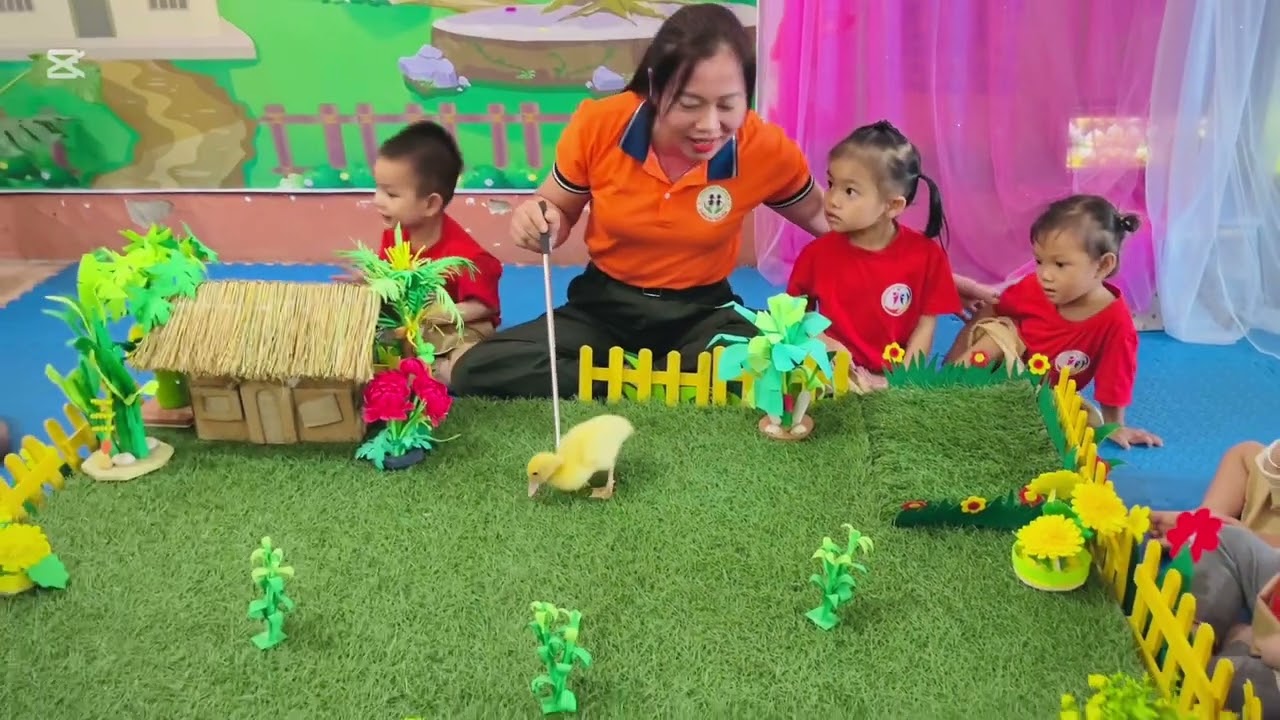 Tiết dạy nhận biết tập nói con vịt hay và hấp dẫn nhất