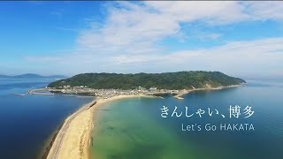 紹介映像　福岡市漁業協同組合　HAKATA SEAFOODS　弘支所・唐泊支所編