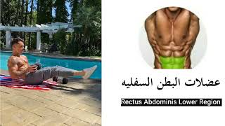 Home ABS Workout تمرين البطن في المنزل