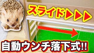 【スライド式】ガラスの窓 ＆「ウンチ」自動落下 システム‼️高性能なケージ作ってみた