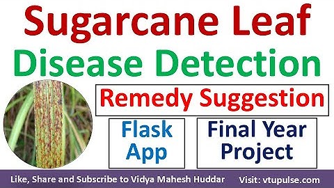 AI-Driven Sugarcane Leaf Disease Detection with Flask App using Machine Learning Vidya Mahesh Huddar