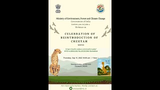 Day 4 of the Cheetah Awareness Program