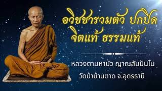 อวิชชารวมตัว ปกปิดจิตแท้ ธรรมแท้ - หลวงตามหาบัว ญาณสัมปันโน