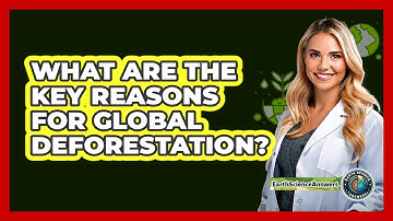 What Are The Key Reasons For Global Deforestation?