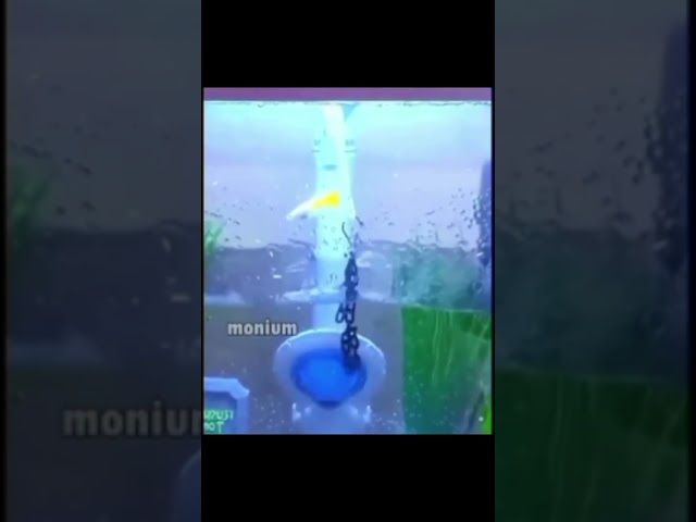 Bro forget to off creative mode #funny #memes #fish #water #edit class=