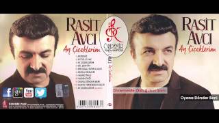 Oyana Dönder Beni | Raşit Avcı Resimi