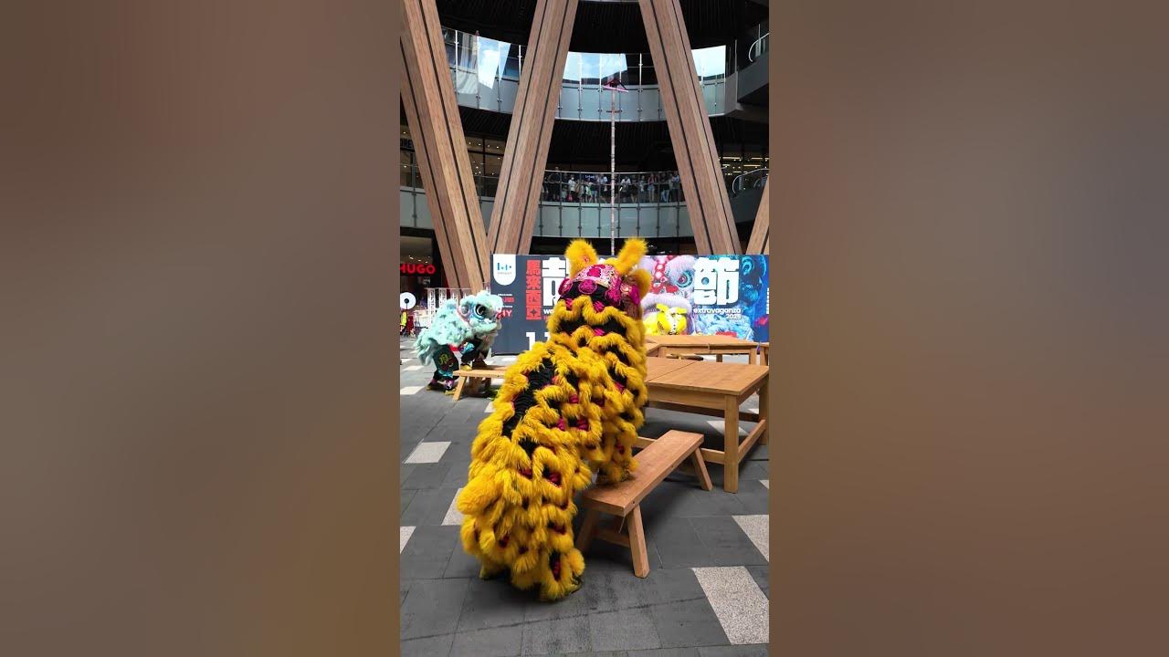 2025 World Dragon & Lion Dance Extravaganza