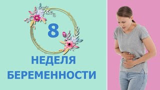 8 Неделя Беременности. Развитие плода и ощущения мамы