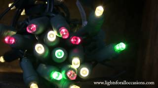 LED String Lights, Warm White Wide Angle Bulbs, Green and Red Twinkle