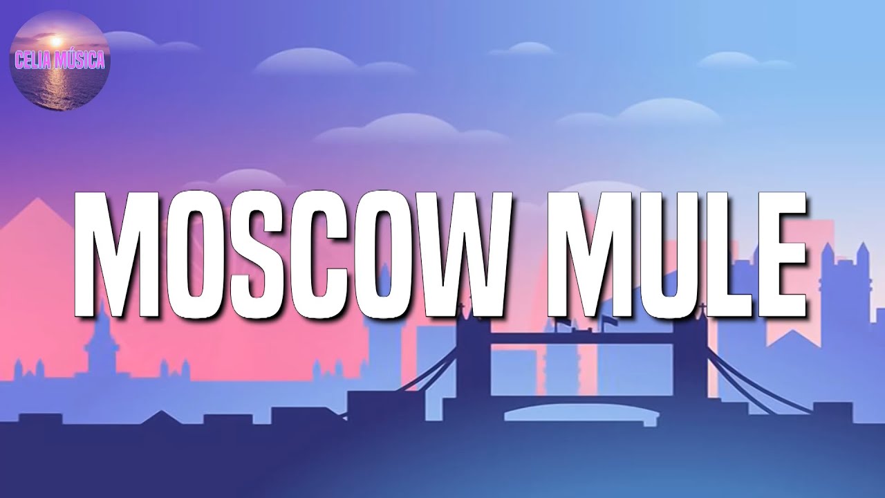 [Loop 1 Hour] 🎵 Reggaeton ||Bad Bunny - Moscow Mule (Letra\Lyrics)