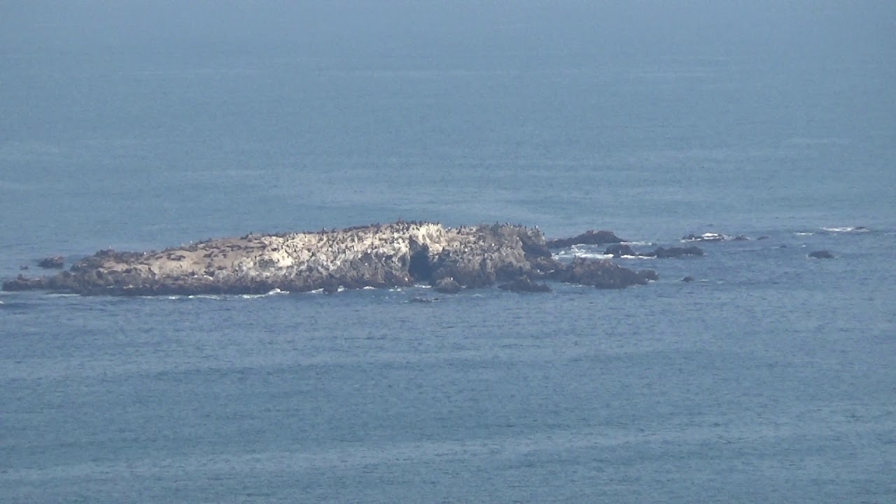 Bodega Head on the hottest day in history