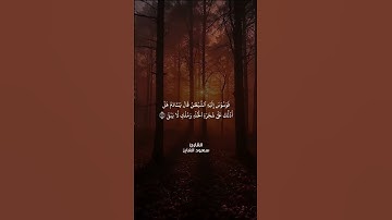 تلاوة رائعه من الشيخ سعود الفايز ( سورة طه ). #قرآن